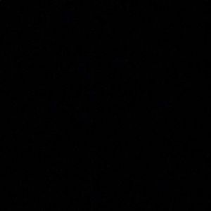 Meet your Posher, Riley